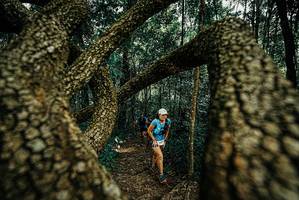 BIB: 
                            <button type="button" onclick="openModal(25671047)" class="btn btn-primary btn-sm float-right btn-popup" data-toggle="modal" data-target=".modal-high-quality">
                        <i class="fas fa-shopping-cart"></i> Add to Cart
                    </button>
                                            <button type="button" onclick="isThisMe(25671047, true)" class="btn btn-success btn-sm float-right btn-popup btn-isme hidden" data-toggle="tooltip" data-placement="bottom" title="นี่คือรูปของคุณใช่ไหม คลิกที่นี่เพื่อเอาเข้าอัลบั้ม">
                        <i class="fas fa-plus"></i> Add to album
                    </button>
                    <button type="button" onclick="isThisMe(25671047, false)" class="btn btn-warning btn-sm float-right btn-popup btn-isnotme hidden">
                        <i class="fas fa-ban"></i> Remove from album
                    </button>